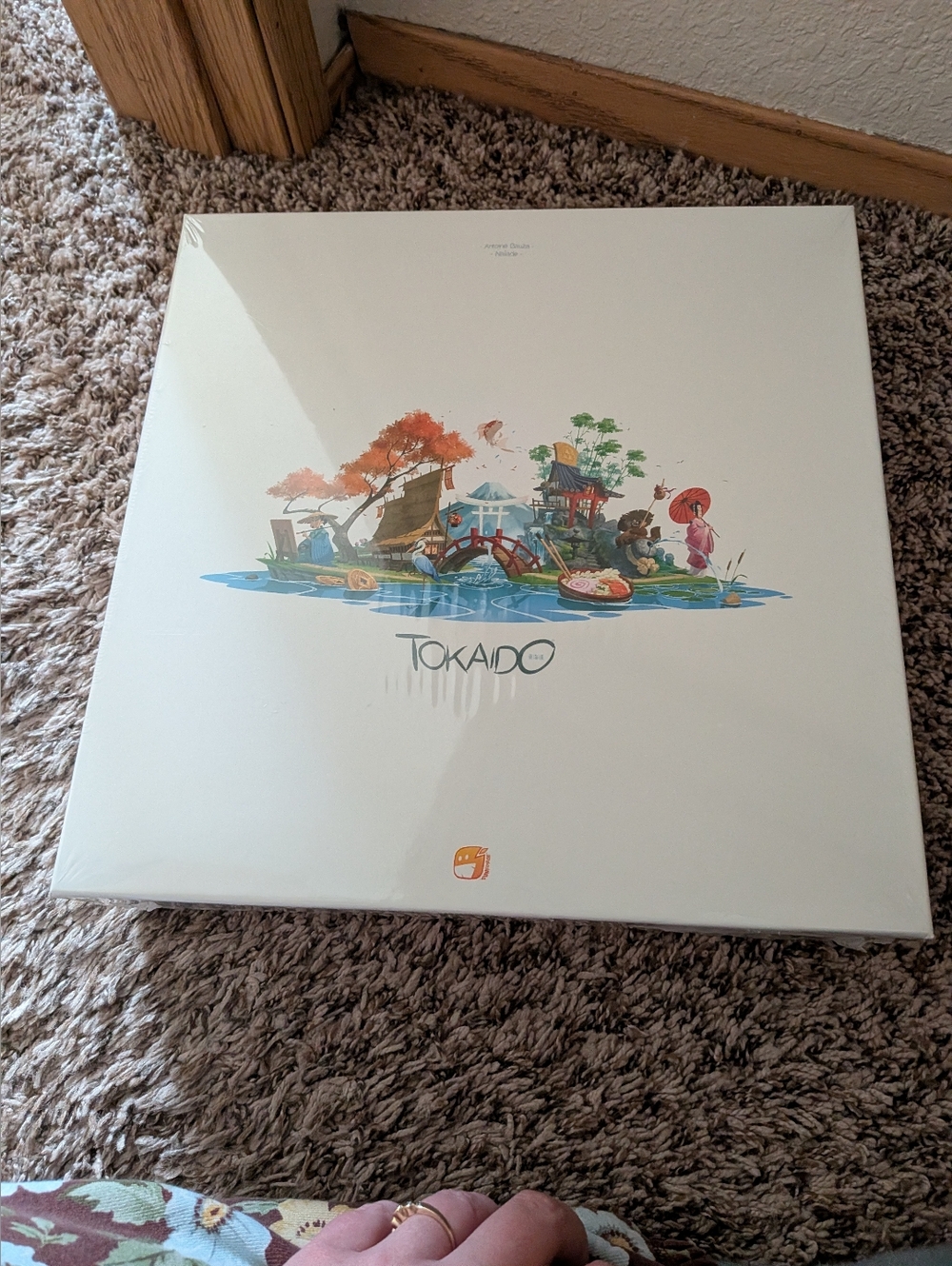 Tokaido Board Game